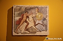 VBS_8891 - Mostra Invito a Pompei